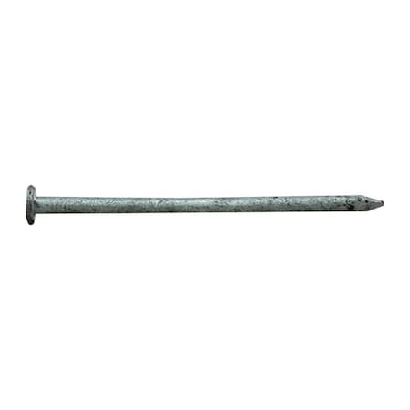 Common Nail, 2-1/2 In L, 8D, Hot Dipped Galvanized Finish